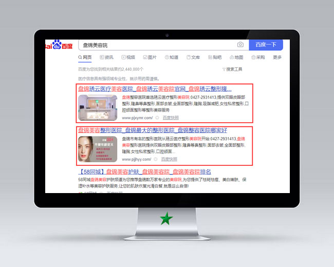 盤(pán)錦美容院網(wǎng)站優(yōu)化案例